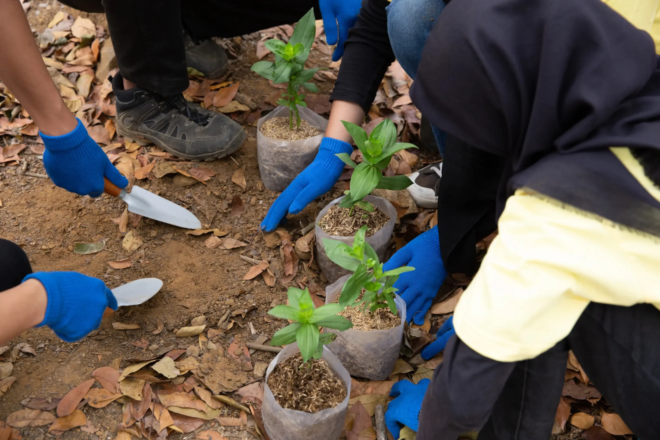 Corporación Rodamonte Promoviendo la Conservación Ambiental y el Amor por Nuestros Recursos Naturales en Pamplona Norte de Santander (6)